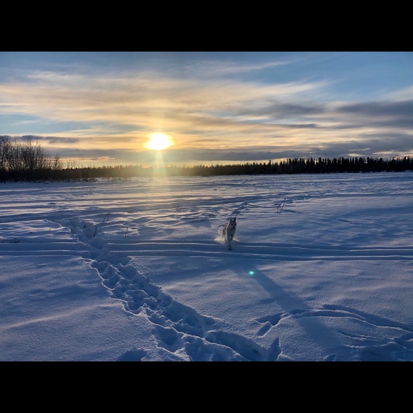 Meet your Posher, Posh - Picture 2 of 9